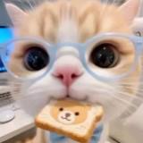 (Category: ) located in . Submitted by default_goofyahh (Listing ID 1467184358, Image 1). Description: .