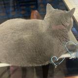 (Category: ) located in . Submitted by httpsfrh (Listing ID 1468603057, Image 1). Description: .