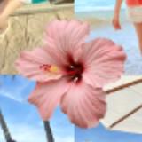 (Category: ) located in . Submitted by webuyx (Listing ID 1467207217, Image 1). Description: .