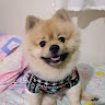 (Category: ) located in . Submitted by raredog.b3lov3d (Listing ID 1467327613, Image 1). Description: .
