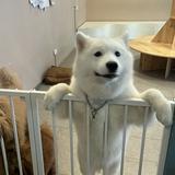 (Category: ) located in . Submitted by breadcookie (Listing ID 1466649452, Image 1). Description: .