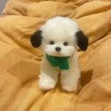 (分類:)位於 。 由 arliegreenfelder 提交(商品編號 1470558436,圖片 1)。簡介: 。