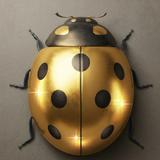 (分類:)位於 。 由 goldbug88 提交(商品編號 1467082063,圖片 1)。簡介: 。