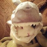 (Category: ) located in . Submitted by rei_lvn (Listing ID 1467372574, Image 1). Description: .