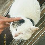 (分類:)位於 。 由 blackobjecttt 提交(商品編號 1467442460,圖片 1)。簡介: 。