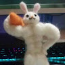 (Category: ) located in . Submitted by freeriver.611f73 (Listing ID 1467932493, Image 1). Description: .