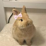 (Category: ) located in . Submitted by lauradyn (Listing ID 1467771098, Image 1). Description: .
