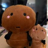 (分類:)位於 。 由 keekit388 提交(商品編號 1455714607,圖片 1)。簡介: 。