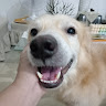 (Category: ) located in . Submitted by mightycat_26c5db (Listing ID 1468754152, Image 1). Description: .