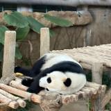(Category: ) located in . Submitted by atoz.co (Listing ID 1468011011, Image 1). Description: .