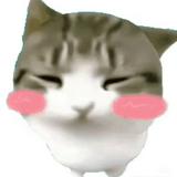 (分類:)位於 。 由 cois_4 提交(商品編號 1467952429,圖片 1)。簡介: 。