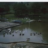 (Category: ) located in . Submitted by ei232.3 (Listing ID 1468051138, Image 1). Description: .
