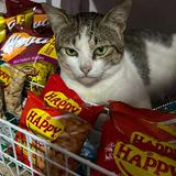 (Category: ) located in . Submitted by happycattooo (Listing ID 1468569068, Image 1). Description: .