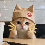 (Category: ) located in . Submitted by meoww_catt (Listing ID 1468118541, Image 1). Description: .