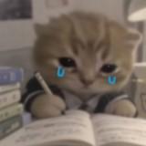 (Category: ) located in . Submitted by gentle.ahmadpintu (Listing ID 1467943921, Image 1). Description: .