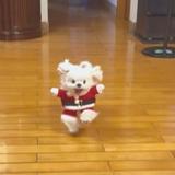 由 iizxcns (刊登 ID 1468255523,圖片 1) 提交,位於 的 (類別:),說明:。