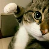 (分類:)位於 。 由 iwbrm 提交(商品編號 1467367770,圖片 1)。簡介: 。