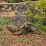 (Category: ) located in . Submitted by souperduper19293 (Listing ID 1468464662, Image 1). Description: .