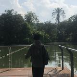 (Category: ) located in . Submitted by cutemamba (Listing ID 1468347326, Image 1). Description: .