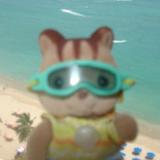 (Category: ) located in . Submitted by nothingphil (Listing ID 1463722003, Image 1). Description: .