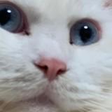 (分類:)位於 。 由 george_1019 提交(商品編號 1468817127,圖片 1)。簡介: 。