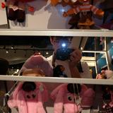(Category: ) located in . Submitted by dwaynesu6793462 (Listing ID 1469087376, Image 1). Description: .