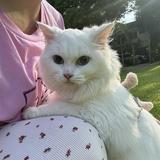 (Category: ) located in . Submitted by ina0115 (Listing ID 1467924550, Image 1). Description: .