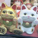 (分類:)位於 。 由 lucky.soldout_ 提交(商品編號 1468728391,圖片 1)。簡介: 。