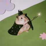 (Category: ) located in . Submitted by mhdrda (Listing ID 1468979360, Image 1). Description: .