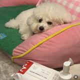 (Category: ) located in . Submitted by crystaljiang (Listing ID 1469099179, Image 1). Description: .
