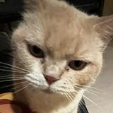(分類:)位於 。 由 ntclimwl 提交(商品編號 1469204877,圖片 1)。簡介: 。