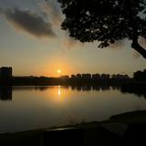 (Category: ) located in . Submitted by pubgholic (Listing ID 1469022170, Image 1). Description: .
