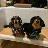 (Category: ) located in . Submitted by wisemountain-8175 (Listing ID 1469039096, Image 1). Description: .