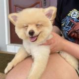 (Category: ) located in . Submitted by yas000 (Listing ID 1467083571, Image 1). Description: .