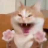 (分類:)位於 。 由 kitty3510 提交(商品編號 1469659297,圖片 1)。簡介: 。