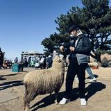 由 fiercecloud_10887b (刊登 ID 1470050738,圖片 1) 提交,位於 的 (類別:),說明:。