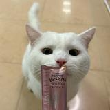 (分類:)位於 。 由 jc59012 提交(商品編號 1469735779,圖片 1)。簡介: 。
