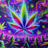 (Category: ) located in . Submitted by nicko213 (Listing ID 1469629318, Image 1). Description: .