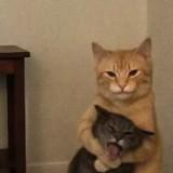 (Category: ) located in . Submitted by warmriver.6d9e18 (Listing ID 1469352795, Image 1). Description: .