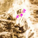 (Category: ) located in . Submitted by thriftrawph (Listing ID 1466466198, Image 1). Description: .