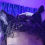 (Category: ) located in . Submitted by burnotech_2 (Listing ID 1470265288, Image 1). Description: .