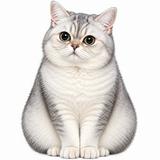 (分類:)位於 。 由 jocekinoko 提交(商品編號 1470119656,圖片 1)。簡介: 。