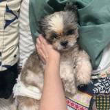 (Category: ) located in . Submitted by Joy246 (Listing ID 1470244951, Image 1). Description: .