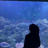 (Category: ) located in . Submitted by girlypopz (Listing ID 1470276368, Image 1). Description: .