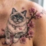 (Category: ) located in . Submitted by parvin2905 (Listing ID 1470511537, Image 1). Description: .
