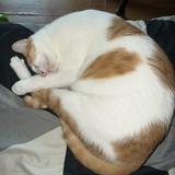 (Category: ) located in . Submitted by kathyalison (Listing ID 1470360790, Image 1). Description: .