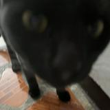 (Category: ) located in . Submitted by mae009 (Listing ID 1469512326, Image 1). Description: .