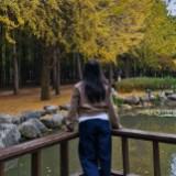 (Category: ) located in . Submitted by lex.lp (Listing ID 1470150912, Image 1). Description: .