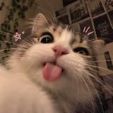 (Category: ) located in . Submitted by anjclcn (Listing ID 1470799690, Image 1). Description: .