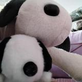 (Category: ) located in . Submitted by rina_stein (Listing ID 1471312680, Image 1). Description: .